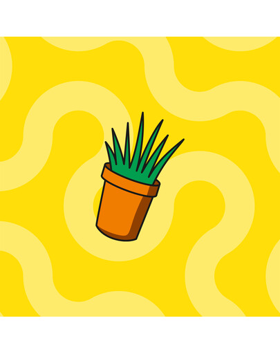 DREAMIES Mega Pack Chrupiące przysmaki dla kota o smaku kocimiętki 180 g